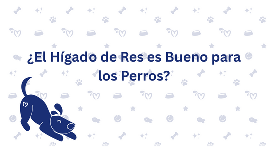 ¿El Hígado de Res es Bueno para los Perros?