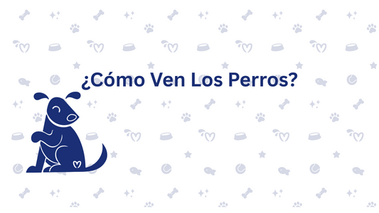 Como ven los perros