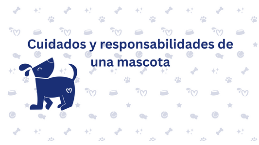 Cuidados y Responsabilidades de una Mascota