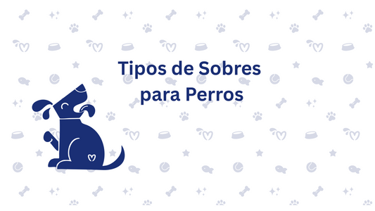 Sobres para Perro