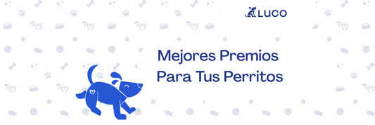 Mejores premios para perros